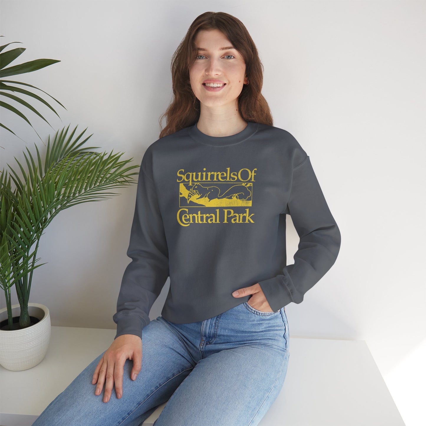 Woman wearing charcoal gray Squirrels Of Central Park vintage distressed crewneck sweatshirt inspired by Bad Sisters.