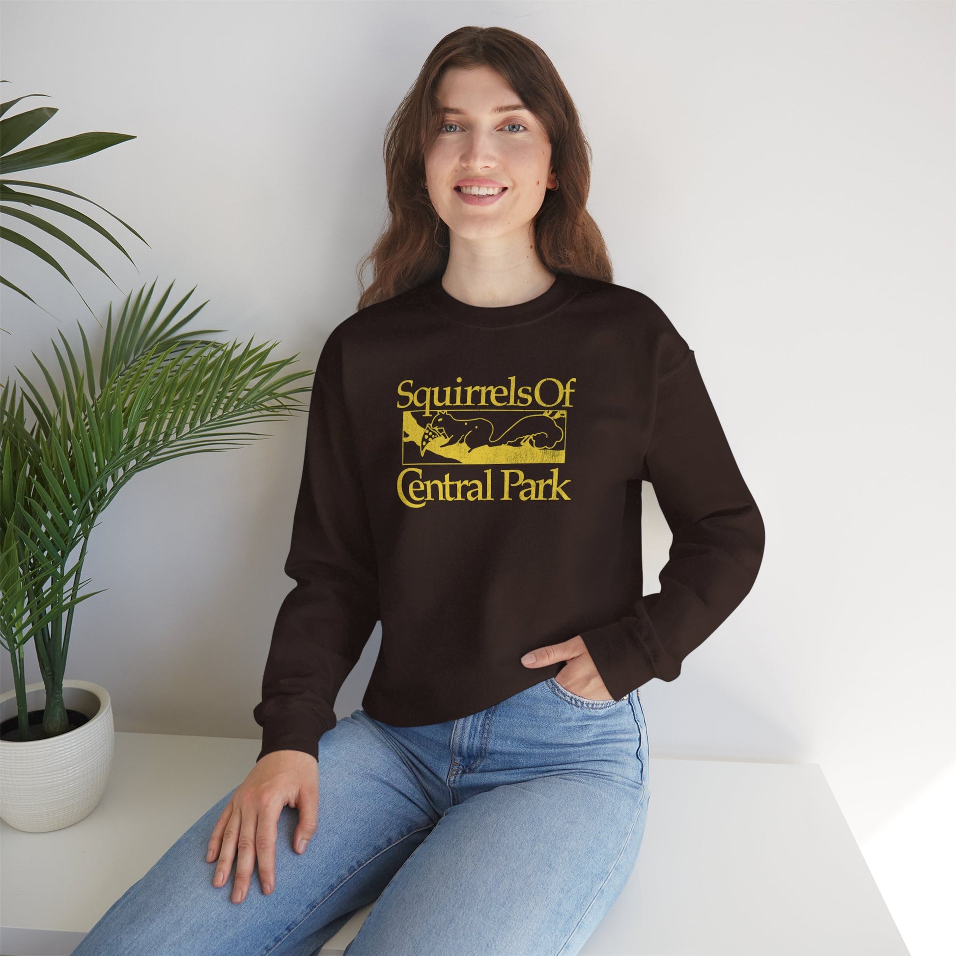 Woman wearing chocolate brown Squirrels Of Central Park vintage distressed crewneck sweatshirt inspired by Bad Sisters.