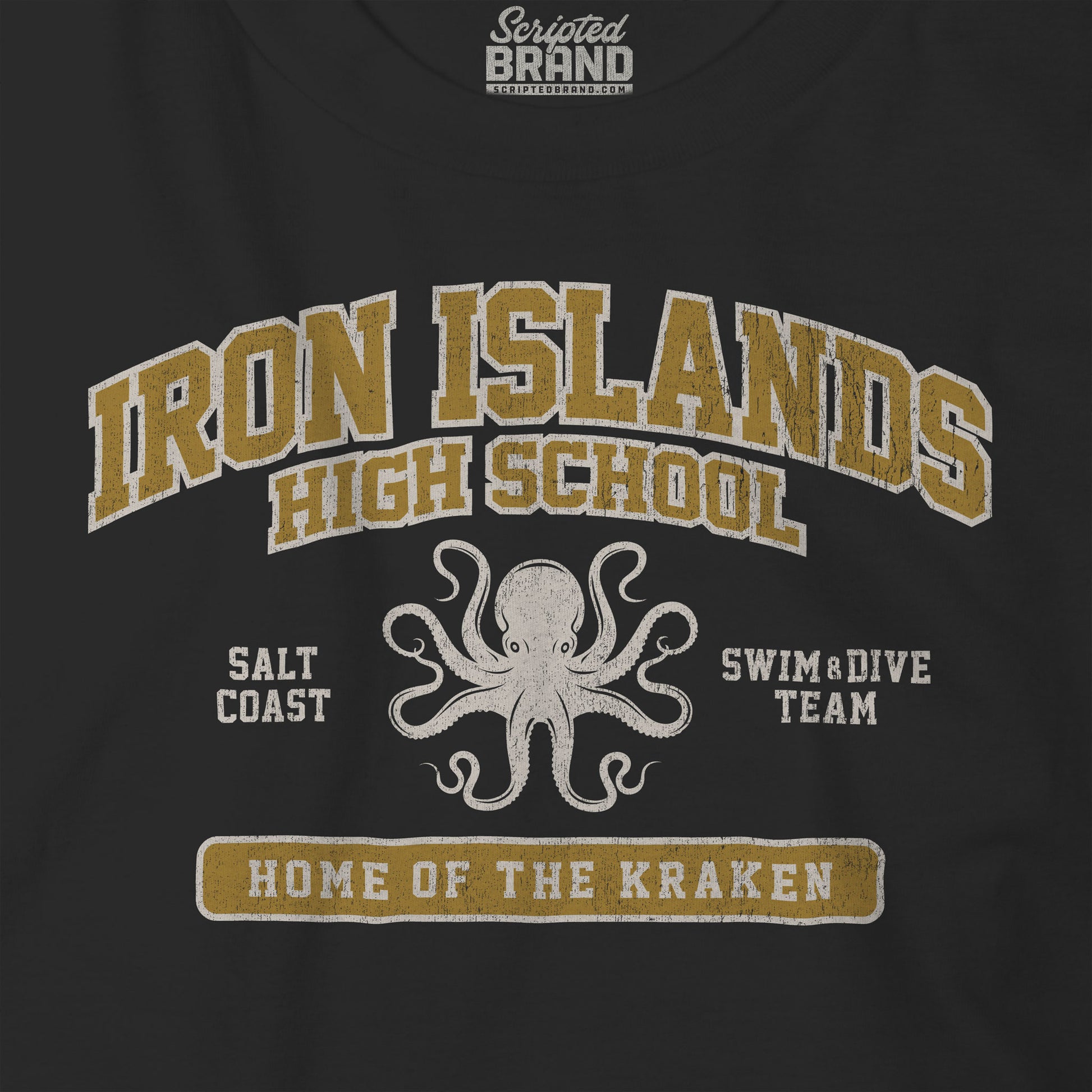 Closeup view of Black and Gold Iron Islands High School t-shirt with vintage lion graphic inspired by Game of Thrones.