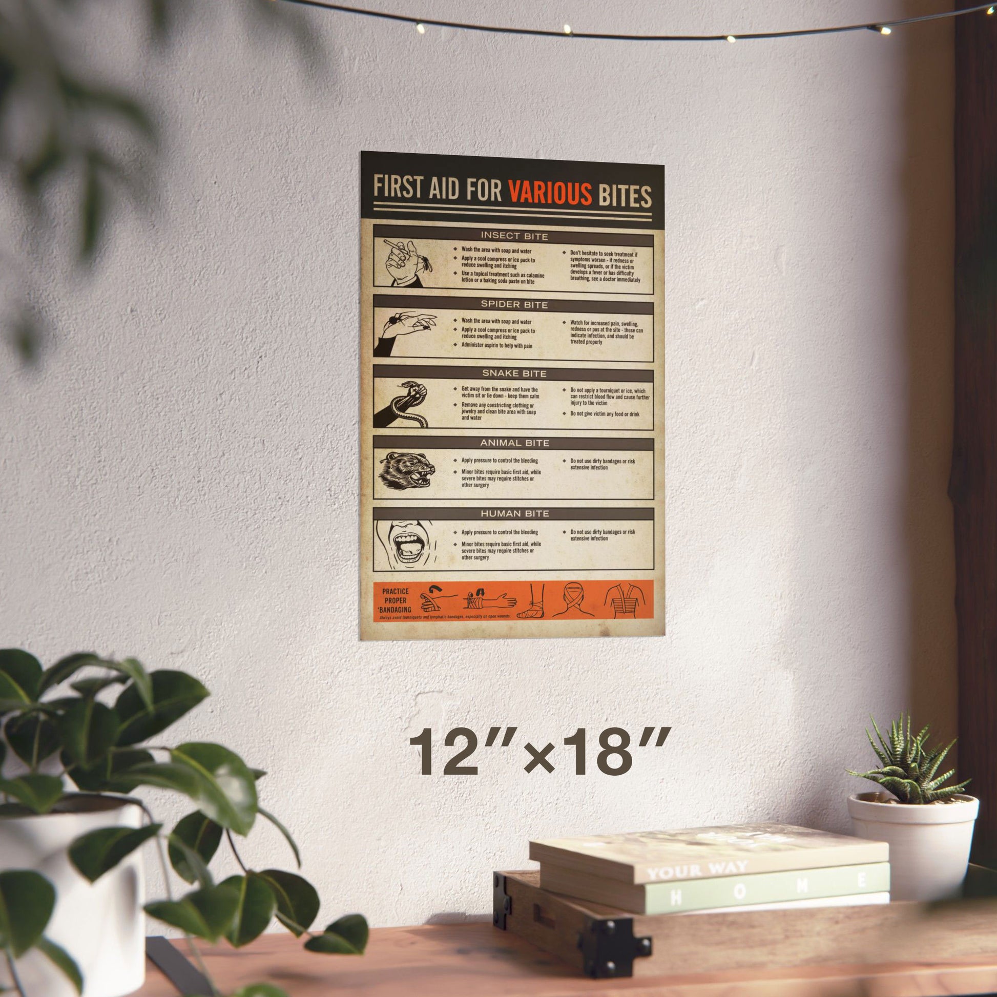 12x18 Vintage First Aid for Various Bites poster from Widow's Bay with illustrated bite treatment chart