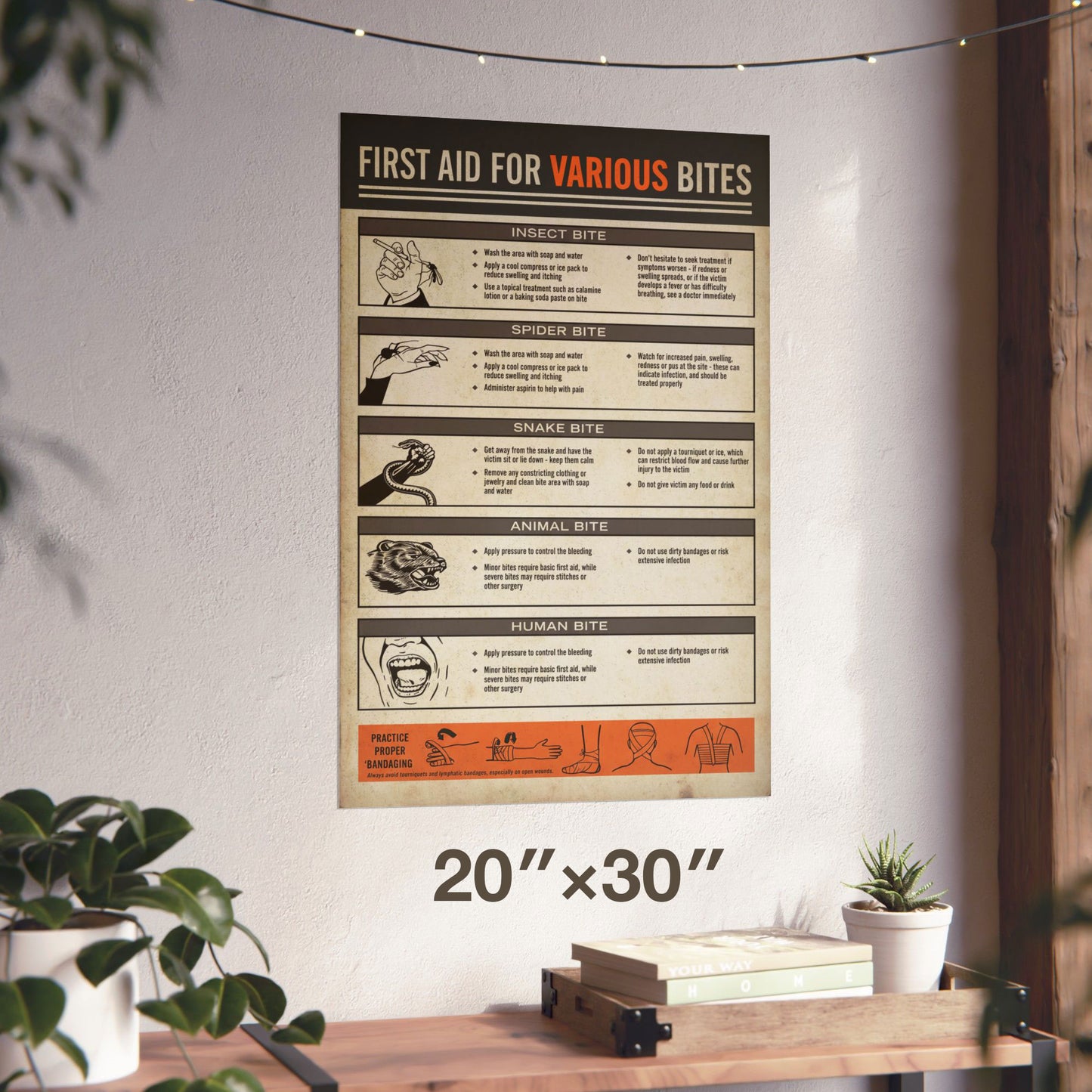 20x30 Vintage First Aid for Various Bites poster from Widow's Bay with illustrated bite treatment chart