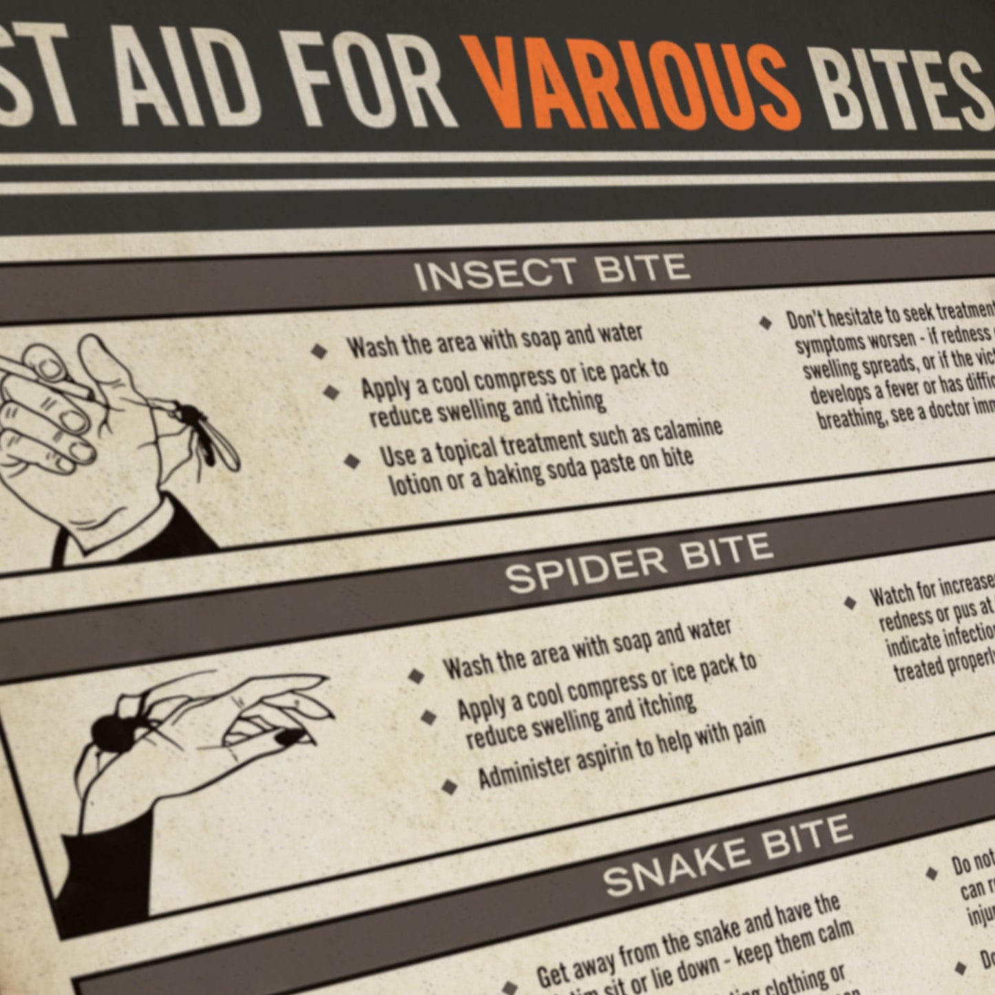 Angled view of top of Vintage First Aid for Various Bites poster from Widow's Bay with illustrated bite treatment chart