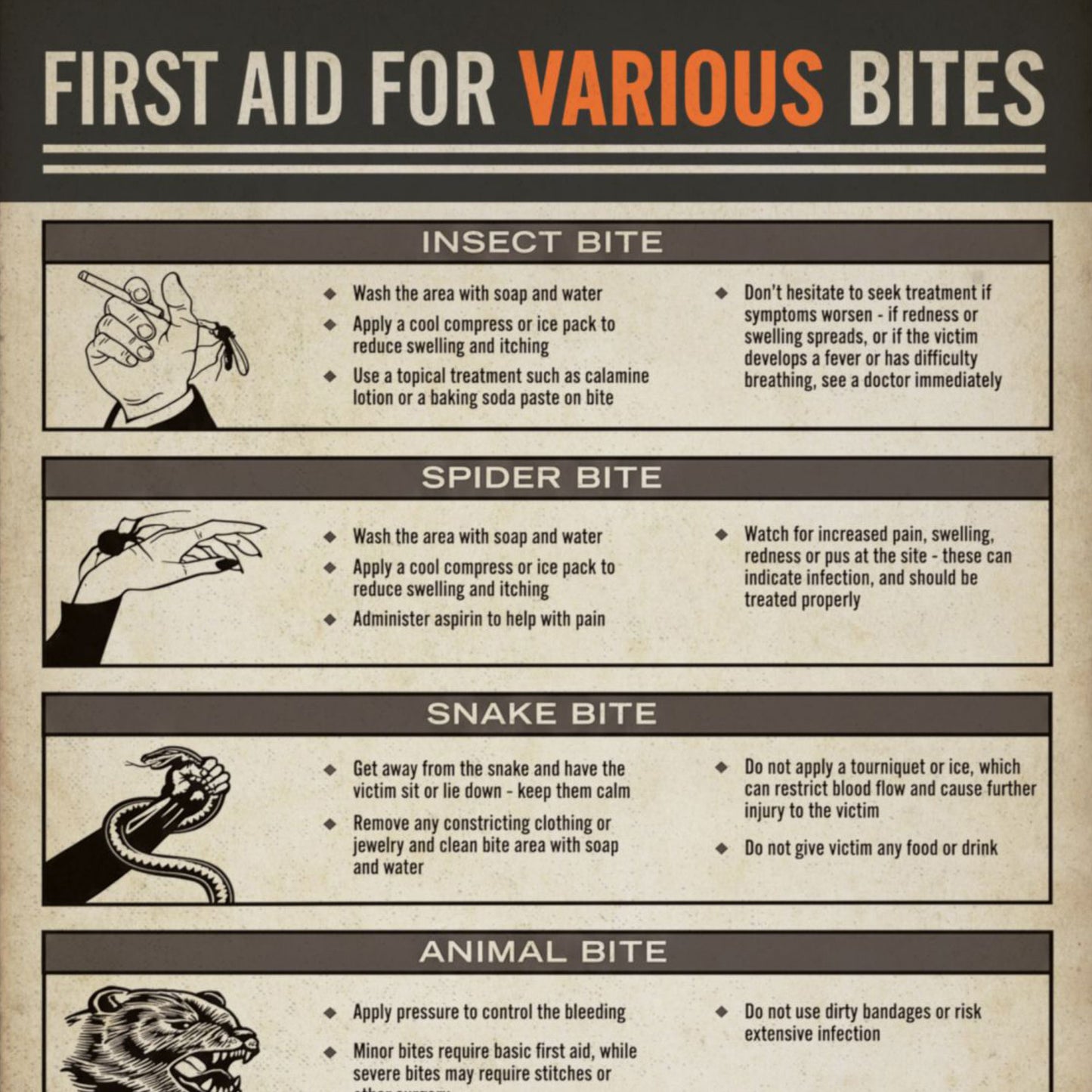 Closeup of Vintage First Aid for Various Bites poster from Widow's Bay with illustrated bite treatment chart