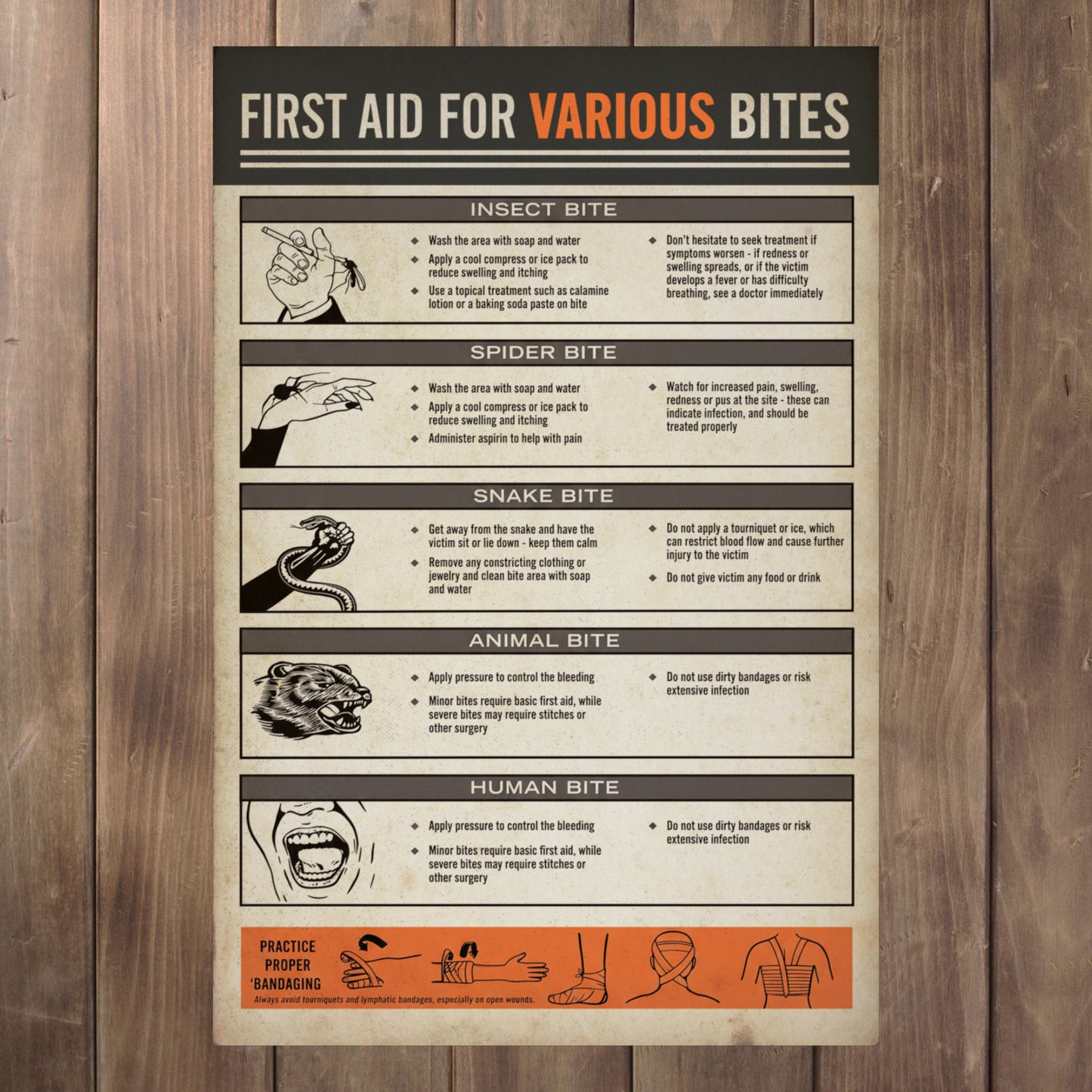 Full Vintage First Aid for Various Bites poster from Widow's Bay with illustrated bite treatment chart