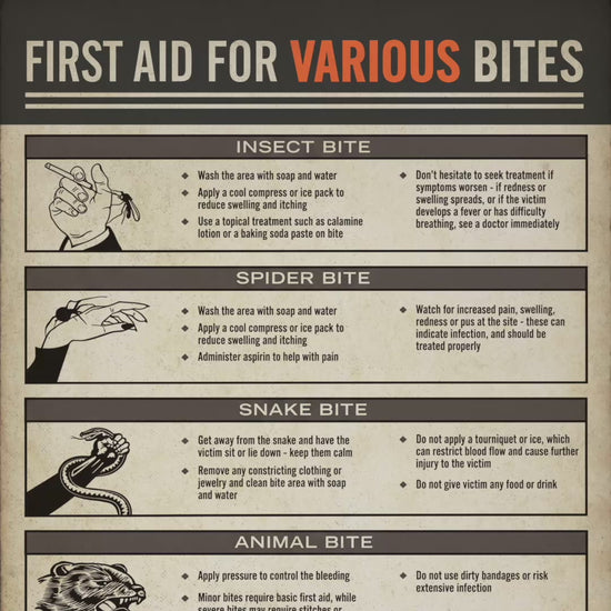 Video of Vintage First Aid for Various Bites poster from Widow's Bay with illustrated bite treatment chart