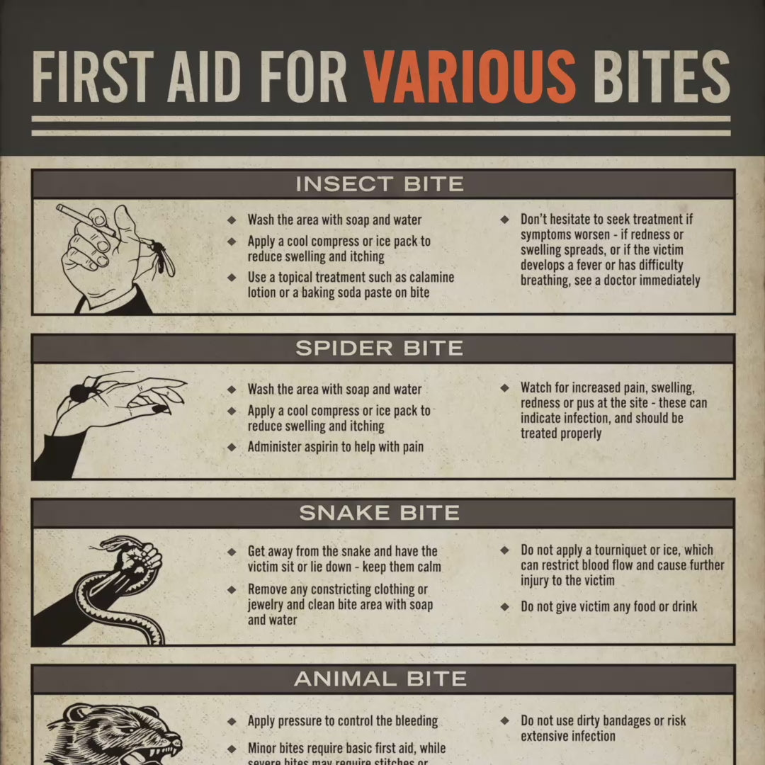 Video of Vintage First Aid for Various Bites poster from Widow's Bay with illustrated bite treatment chart