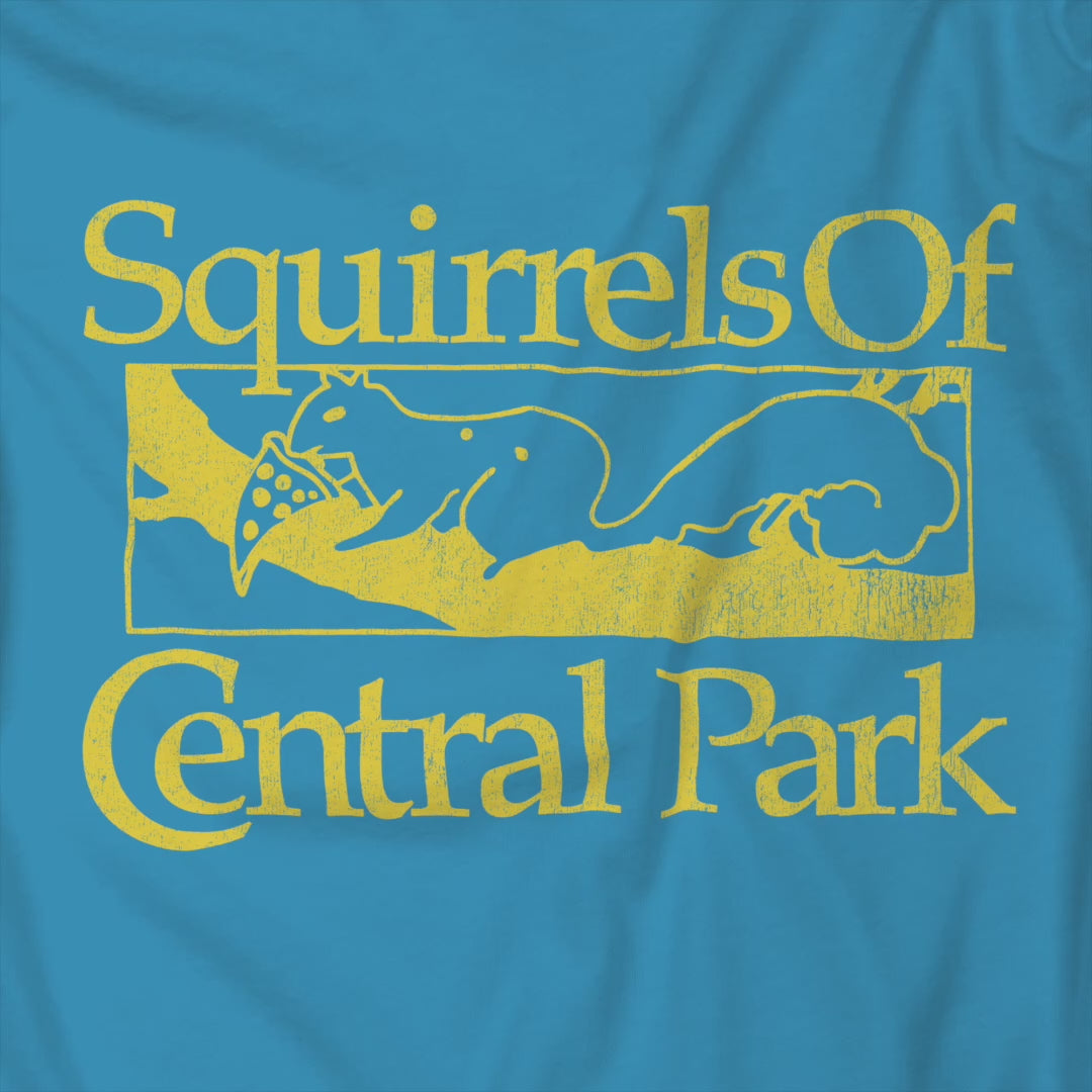Video of unisex t-shirts with distressed “Squirrels of Central Park” graphic, worn by Eva Garvey in the show Bad Sisters.