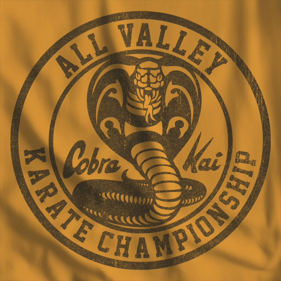 Video of Cobra Kai All Valley Karate Championship vintage distressed graphic t-shirt, soft Bella+Canvas cotton Karate Kid tee